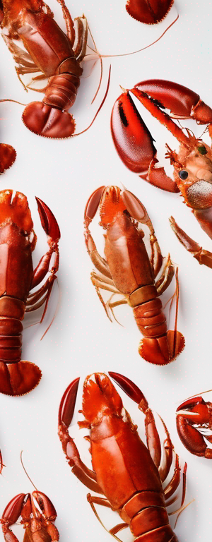 The Best Methods for Storing Lobster Live to Maintain Its Quality