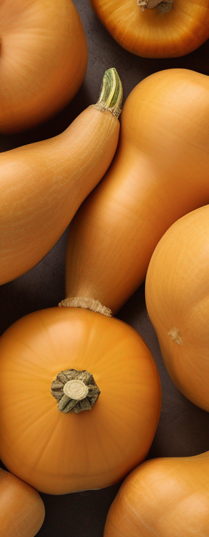 The Best Way to Store Butternut Squash to Prevent Spoilage