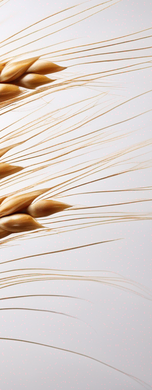 The Best Way to Store Common Wheat for Optimal Freshness