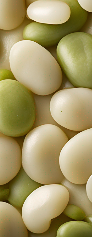 The Best Ways to Store Cooked Lima Beans for Maximum Freshness