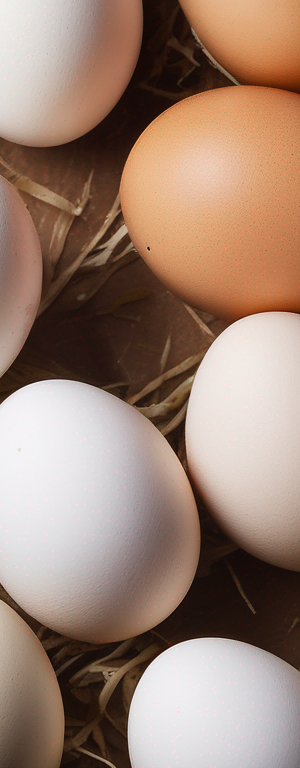 The Ultimate Guide to Properly Storing Fresh Raw Eggs