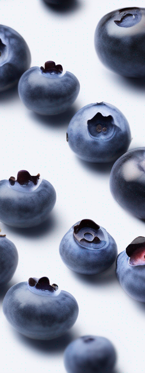 The Ultimate Guide to Properly Storing Half Highbush Blueberries for Maximum Freshness
