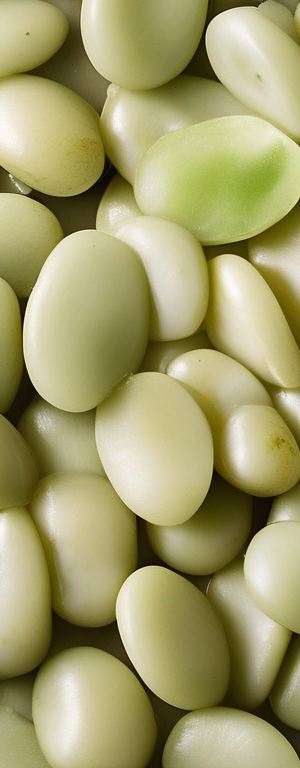 Tips for Extending the Shelf Life of Cooked Lima Beans in the Pantry