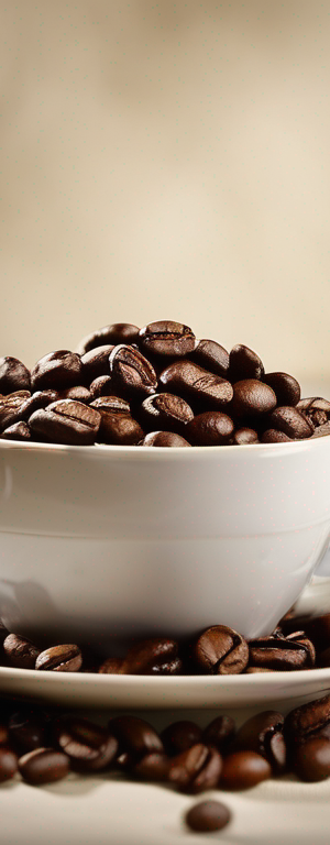 Top Tips for Determining When Arabica Coffee Has Gone Bad